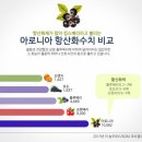 믿고 먹는 참들식품의 참들 아로니아즙