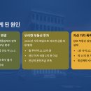 의류도소매업