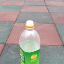 상주중앙양봉원 이미지