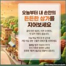 상방상가 | [맘씨오에블린 공배합 강의 후기] 월세 프로젝트