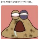 놀이유 네이버블로그