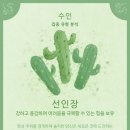 포레스트(Forest)