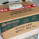 식탁위의텃밭 | 식탁위의봄날 유기농쌈채소 샐러드채소 채소박스 채소꾸러미 후기