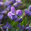 엠치과의원 이미지