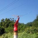 화도면사무소 이미지