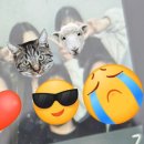 서편제노래연습장 이미지