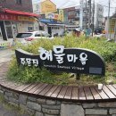 청정건어물 - 서구 유등로661번길 12 | 주문진 강릉건어물시장 데이트 청정건어물직매장 | 내돈내산 오징어(피데기)구매후기! (가격정보)