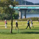 코리아세븐 신림스타점 | 빅토리 여성 파크골프채 종류 파크골프 초보 경험담