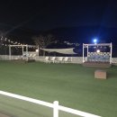 아로하스토리 이미지