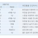 에이엠인터네셔널 이미지