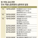 자성