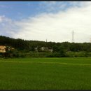 장덕1리 이미지