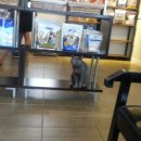 반창꼬동물병원 이미지