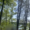 영생관리사업소 진입로 | 청주 청남대 방문 후기｜위치, 입장방법, 주차, 유의사항 총정리