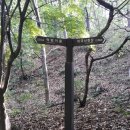 먹뱅이골 농장 이미지