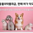 둔산백화점약국 이미지