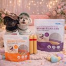 헤이독 | 강아지 간식 추천｜그레인프리 애터미 헤이 독 소시지 후기 (노령견도 잘 먹는 기호성 간식)