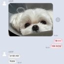 초록을거머쥔우리는