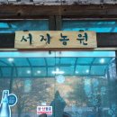 서지농원 이미지