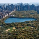 성실행정사사무소 이미지