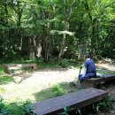 제주불교성지 순례길 절로 가는길 - 정진의 길 이미지