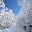 지리산온천랜드 이미지