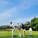 연 SG스크린골프 이미지