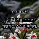 젊은 가장 Daum카페