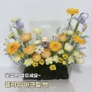 꽃길이어라(플라워디자인) | [FlowerDiary] 봄날에는 꽃길만 걸으세요~ 플라워 아크릴 백 만들기