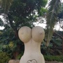 건강과 성 박물관 이미지