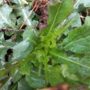 찬우물생태 이미지