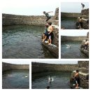 남생이못 이미지