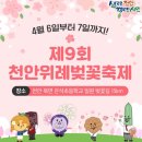 ■천안 벚꽃축제 4.6(토) 15시~ 및 하남 봄봄 문화축제 4.7(일)14시~❤️우순실/곽종목 공연안내 이미지