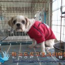 회정로 이미지