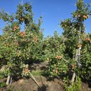 우연농장 이미지