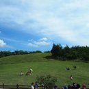 금성목장 이미지