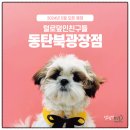 털로덮인친구들 동탄북광장점 이미지