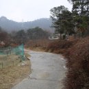 도개박골 Daum카페
