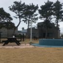 승리목장 | 강아지랑 제주도 여행 ③ 맛도리의 연속