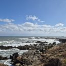 기장펜션 | 리버사이드펜션 부산기장펜션 오션뷰 숙박 후기