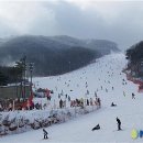 휘닉스파크 이미지