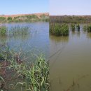 덕수농장 이미지