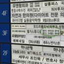 제일정비센터 | [원주] 무실동 두피관리 ‘올리다 두피탈모전문센터 원주점’ : 지루성 두피염 맞춤 케어 후기