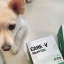 강서하이동물병원 이미지