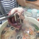 태희칼국수 이미지