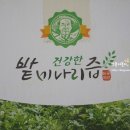 해복농장 | 건강한 논공약산 밭미나리즙, 술자리 많은 아빠에게 꼭! 챙겨주세요