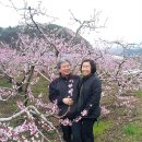 요셉목장 이미지