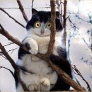 떼굴떼굴 이미지