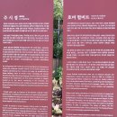 세종한울길 Daum카페