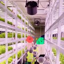 광주삼성어린이집 이미지